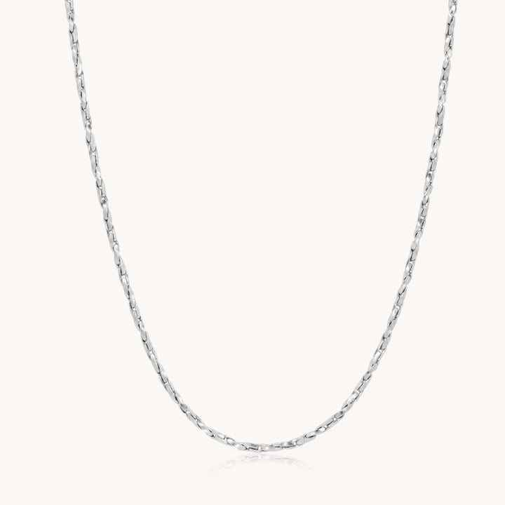 Hallie Twisted Boston Chain Necklace, Silver