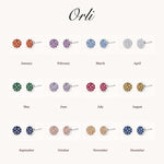 Birthstone Pavé Disc Stud Earrings in Silver — January to December birth month chart